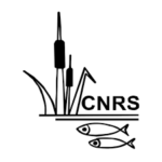 CNRS